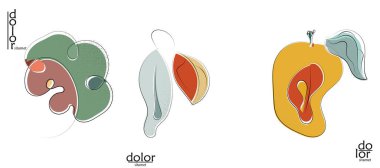 Soyut el çizimi vektör sanatsal logo seti beyaza izole edildi. Çizgi sanatsal çizim ve doku. Retro düz renkler organik doğal Eko gıda tasarımı. Organik sağlıklı vejetaryen karalaması..