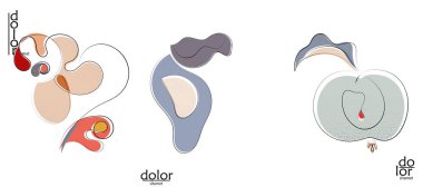 Soyut el çizimi vektör sanatsal logo seti beyaza izole edildi. Çizgi sanatsal çizim ve doku. Retro düz renkler organik doğal Eko gıda tasarımı. Organik sağlıklı vejetaryen karalaması..