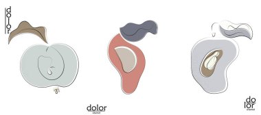 Soyut el çizimi vektör sanatsal logo seti beyaza izole edildi. Çizgi sanatsal çizim ve doku. Retro düz renkler organik doğal Eko gıda tasarımı. Organik sağlıklı vejetaryen karalaması..