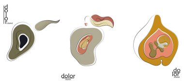 Soyut el çizimi vektör sanatsal logo seti beyaza izole edildi. Çizgi sanatsal çizim ve doku. Retro düz renkler organik doğal Eko gıda tasarımı. Organik sağlıklı vejetaryen karalaması..