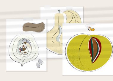 Gölge kaplamalı soyut el çizimi vektör çizimi poster. Çizgi sanatsal çizim ve doku. Retro düz renkler organik doğal tasarım. Organik sağlıklı vejetaryen karalaması..