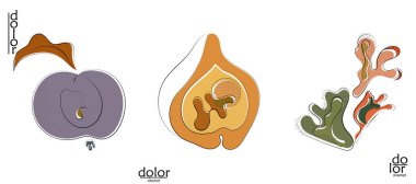 Soyut el çizimi vektör sanatsal logo seti beyaza izole edildi. Çizgi sanatsal çizim ve doku. Retro düz renkler organik doğal Eko gıda tasarımı. Organik sağlıklı vejetaryen karalaması..