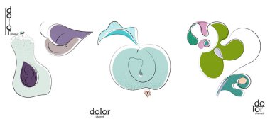 Soyut el çizimi vektör sanatsal logo seti beyaza izole edildi. Çizgi sanatsal çizim ve doku. Retro düz renkler organik doğal Eko gıda tasarımı. Organik sağlıklı vejetaryen karalaması..