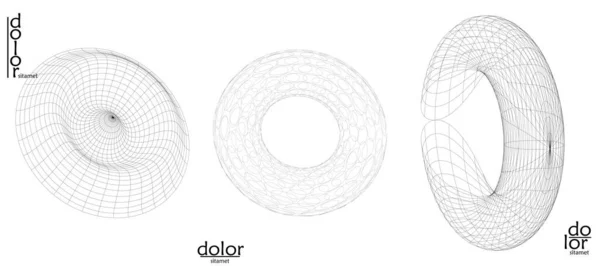 Abstracte Vectorobject Verzameling Moleculair Rooster Textuur Van Geometrische Draad Frame — Stockvector