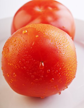 domates yakın çekim