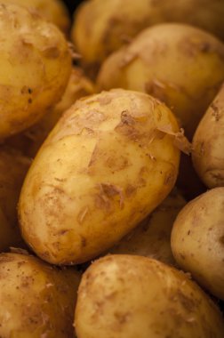 Çiğ patates yakın çekim