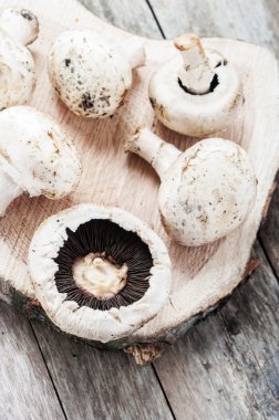 taze beyaz düğme mantar