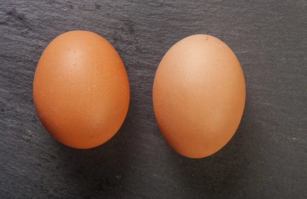 Свіже яйце ізольоване — стокове фото