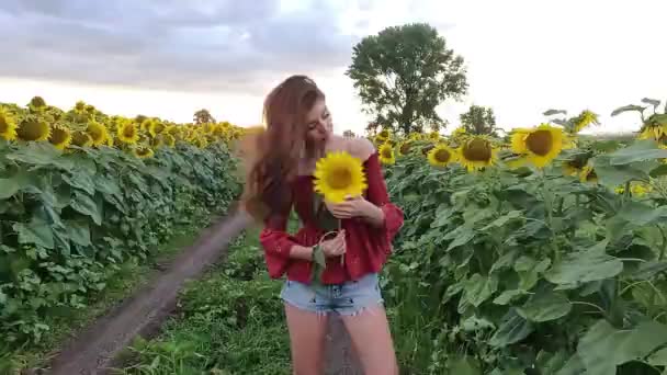 Ayçiçeği Tarlasında Gülümseyen Güzel Esmer Kız — Stok video
