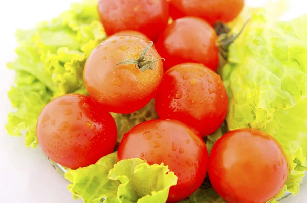 Pomodoro e lattuga — Foto Stock