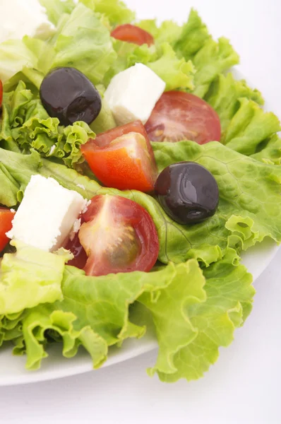 Verse salade met tomaat en sla — Stockfoto