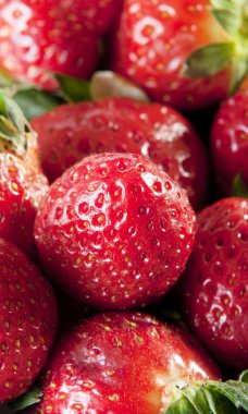 taze organik çilek yakın çekim