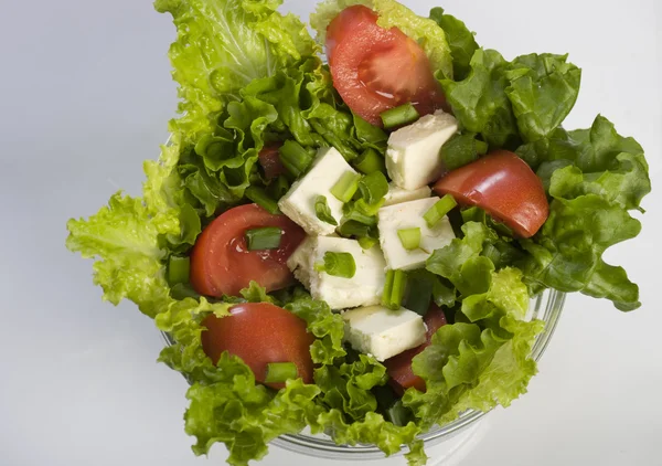 Griekse salade close-up — Stockfoto