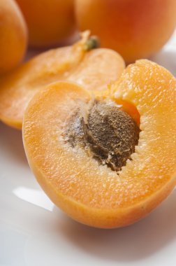 Kayısı yakın çekim