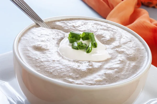 Mushroom cream soup — Stock Photo, Image