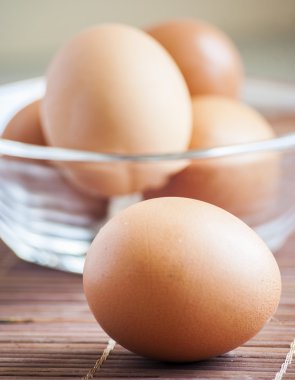 yumurta yakın çekim