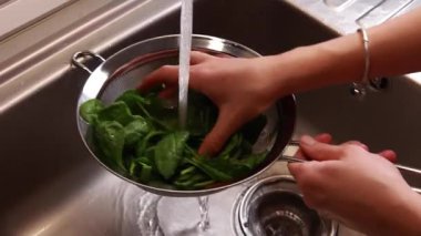 Mutfak lavabosundaki kevgirde taze ıspanak yıkamak.