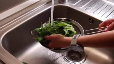 Mutfak lavabosundaki kevgirde taze ıspanak yıkamak.