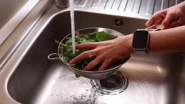 Mutfak lavabosundaki kevgirde taze ıspanak yıkamak.