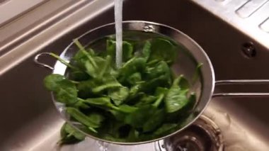 Mutfak lavabosundaki kevgirde taze ıspanak yıkamak.