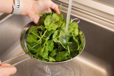 Mutfak lavabosundaki kurutucuda taze ıspanak yıkamak.