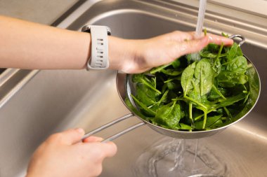 Mutfak lavabosundaki kurutucuda taze ıspanak yıkamak.