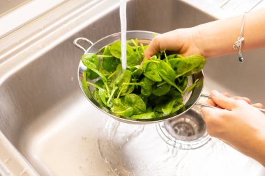 Mutfak lavabosundaki kurutucuda taze ıspanak yıkamak.