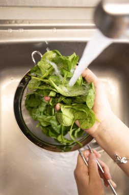 Mutfak lavabosundaki kurutucuda taze ıspanak yıkamak.