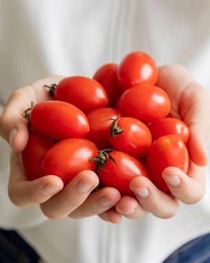Çocuk elleri taze vişneli domates tutuyor, sağlıklı yiyecek kavramı.