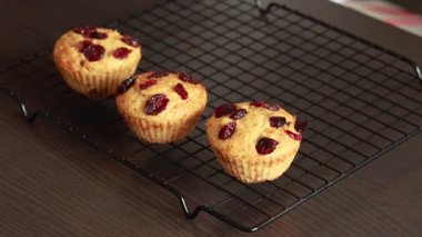 Lezzetli Portakal ve Kurutulmuş Yabanmersinli Kekler Bayram Festivali Pişirme Tatlısı