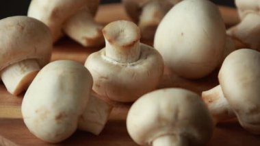 Bir demet taze çiğ beyaz mantar yakın plan, sağlıklı yemek, gıda malzemeleri ve bitkisel beslenme kavramları için mükemmel.