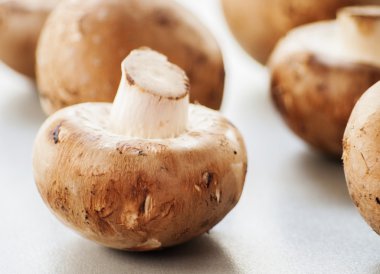 yığın champignon mantar. Beyaz arka plan üzerinde izole