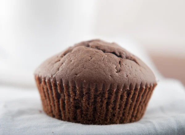 Muffins au chocolat fermer — Photo