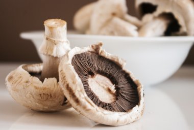 mantar beyaz üzerinde kapat