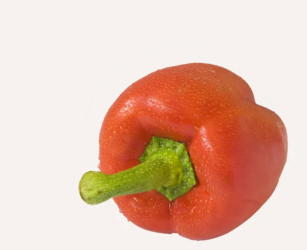 Red pepper white — Stock Photo, Image