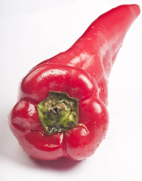 Pimenta vermelha branca — Fotografia de Stock