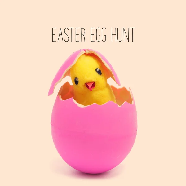 Text easter egg hunt and a teddy chick emerging from a pink egg — Stock Photo, Image