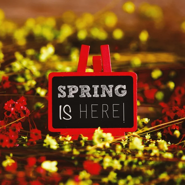 Flowers and blackboard with the text spring is here — Stock Photo, Image