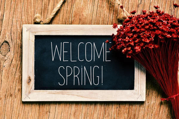 Blumen und Tafel mit dem Text Willkommensfrühling — Stockfoto