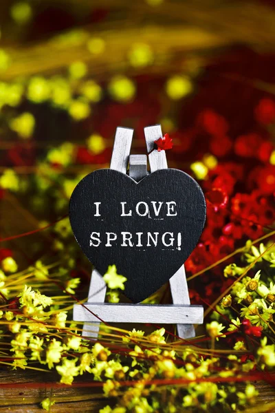Blommor och svart hjärta med texten jag älskar våren — Stockfoto