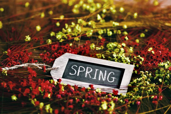 Flowers and black label with the word spring — Stock Photo, Image