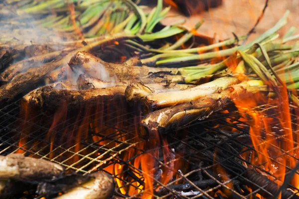 Calcots, γλυκά κρεμμύδια, τυπικό της Καταλονίας, Ισπανία — Φωτογραφία Αρχείου