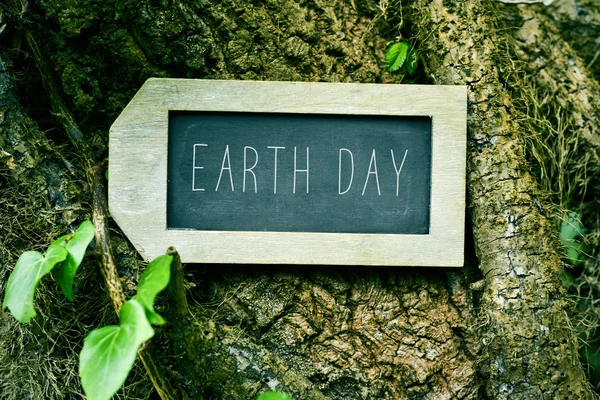 Chalkboard with the text earth day in a tree — Stock Photo, Image