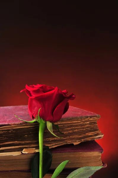 Красная роза и старые книги — стоковое фото