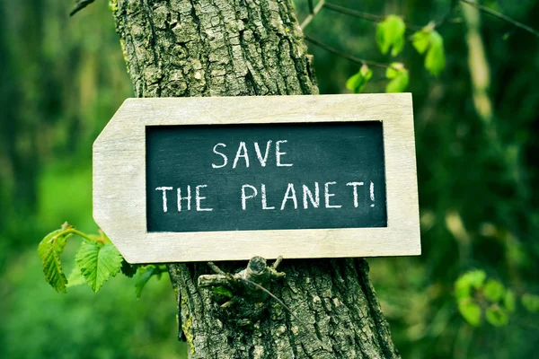 Chalkboard with the text save the planet in a tree — Stock Photo, Image