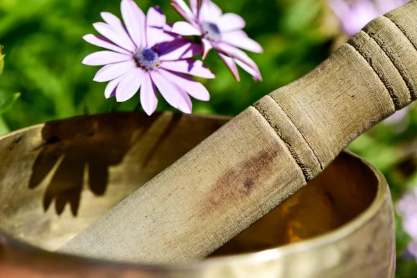 Taça de canto tibetano — Fotografia de Stock