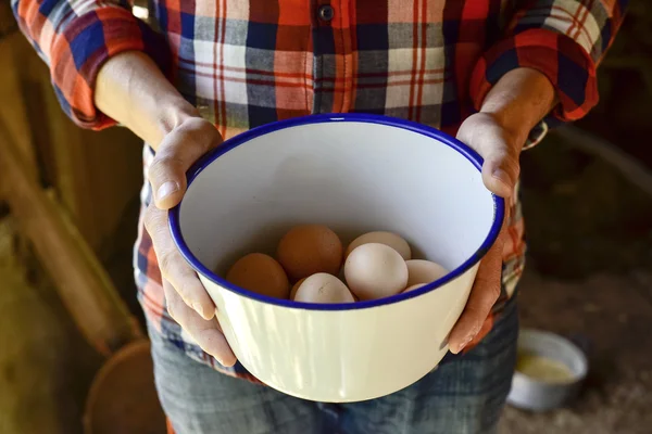 Farmer man with chicken eggs — Stock Photo, Image