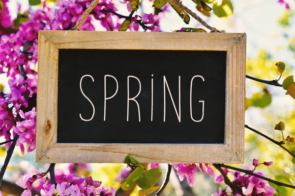 The word spring in a chalkboard — Stock Photo, Image