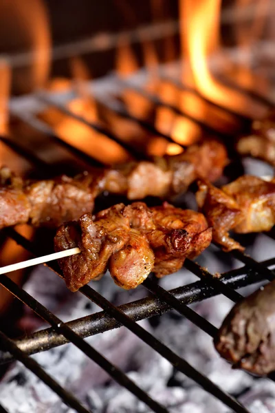 Spiedi di carne in un barbecue — Foto Stock