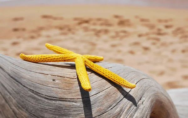 Gele zeester op een oude gewassen boomstam op het strand — Stockfoto